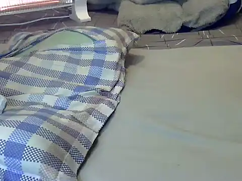 Playroom_queen's cam snapshot