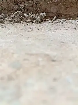 Rajni_chauhan's cam snapshot