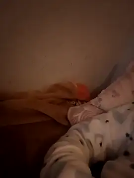 bruna_safadinhaa live sex cam