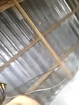 bubblendz1988's cam snapshot