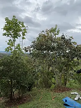 Rose-andres's cam snapshot