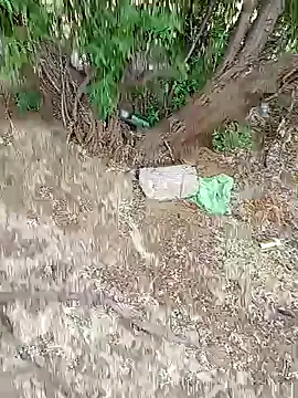 camy721's cam snapshot