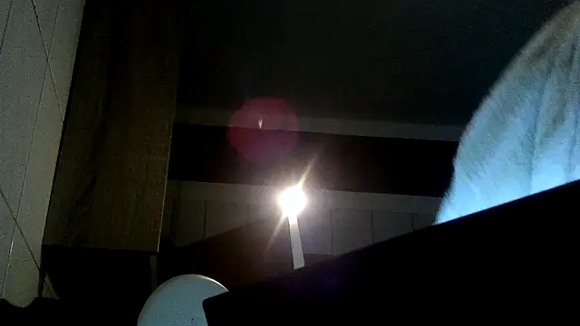 donhulio482 live sex cam