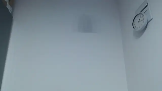 hiddenf's cam snapshot