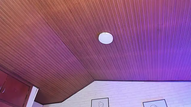 Kitty_Pam's cam snapshot