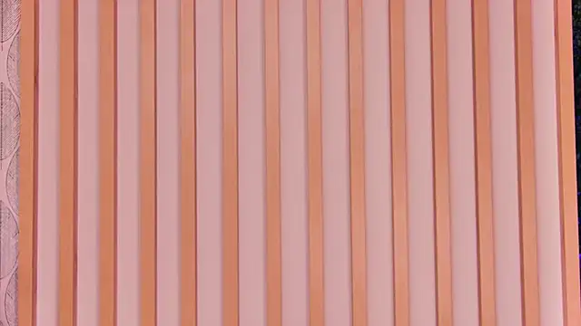 LollyShine's cam snapshot