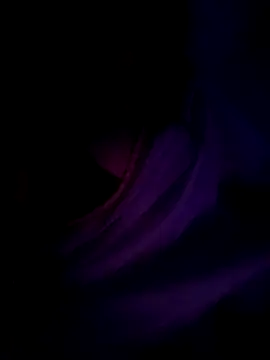 Jessicca_Cum's cam snapshot