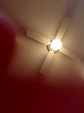 Mr_Sirthedom's cam snapshot