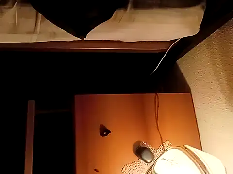 Porco81cazzo live sex cam