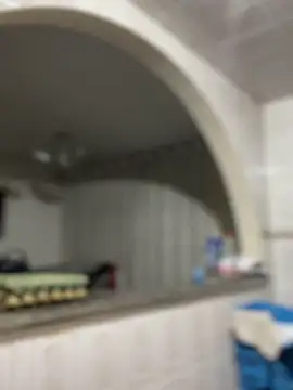 Carola-Ross's cam snapshot