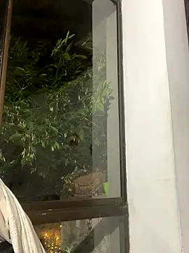 Paulina-Wells's cam snapshot