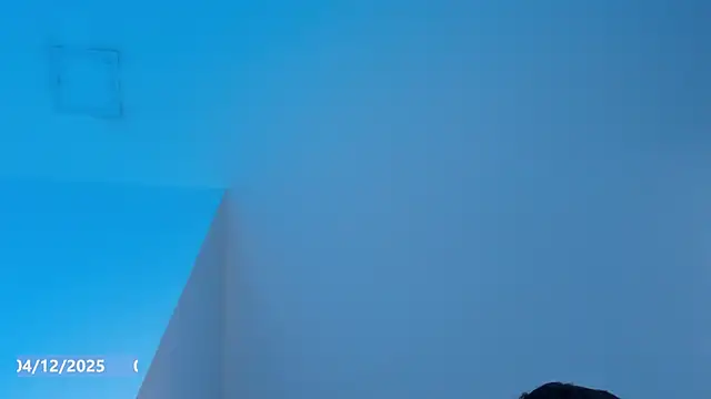 Sebax_Young's cam snapshot