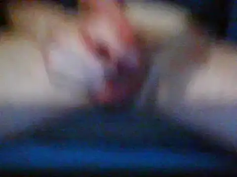 MXman1111 live sex cam