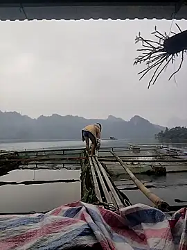 Cover-baa's cam snapshot