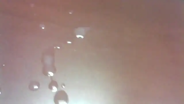 chadhammer's cam snapshot