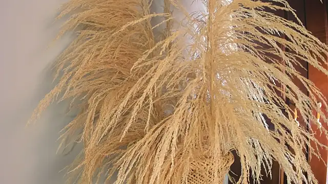 LILA_ELLIOT's cam snapshot