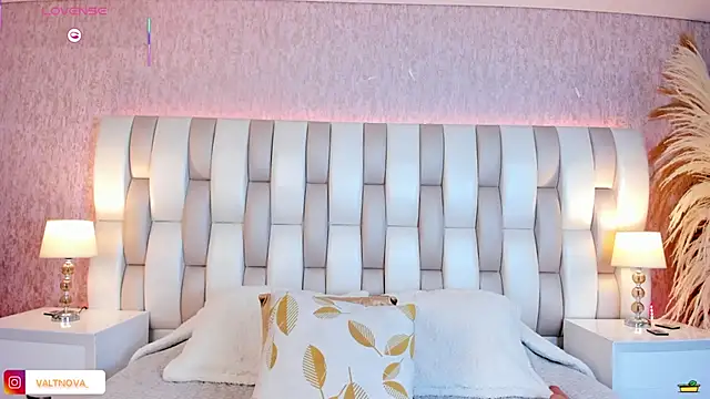 valt_'s cam snapshot