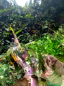 siusiu-00's cam snapshot