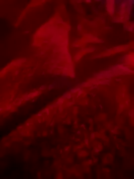 2004sexy's cam snapshot