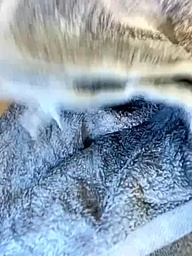 victory-jet-rain live sex cam