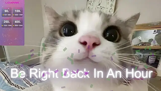 Crazy_Wine's cam snapshot