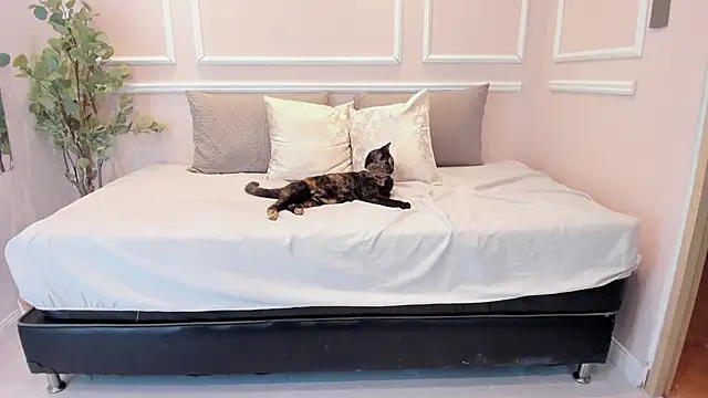 Lucy_Canel's cam snapshot