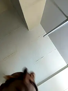 Marleymols's cam snapshot