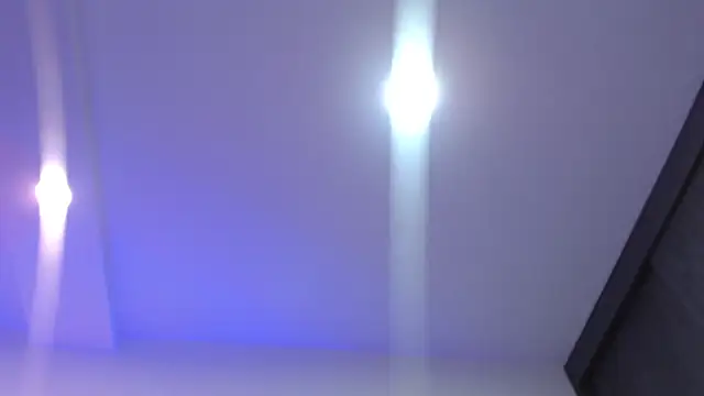 Aurora_blossom__'s cam snapshot