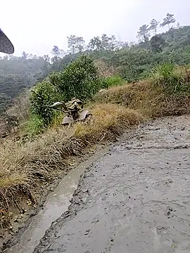 Tin_tanny's cam snapshot