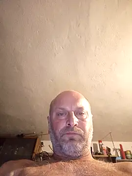 traigl's cam snapshot