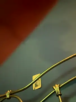 stevo170t's cam snapshot