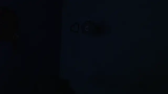 onixandghosty1's cam snapshot