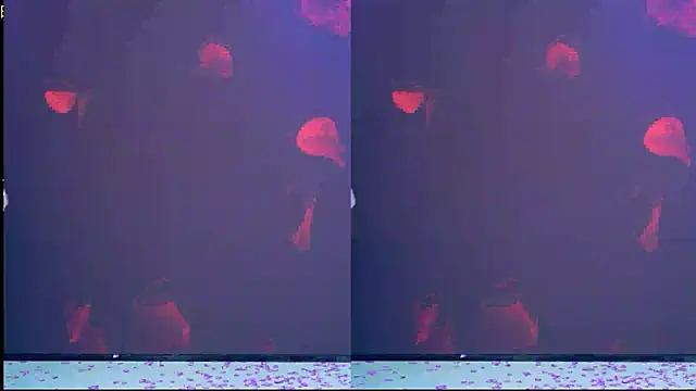 DJ-babala's cam snapshot