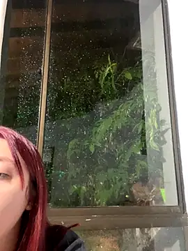 Paulina-Wells's cam snapshot