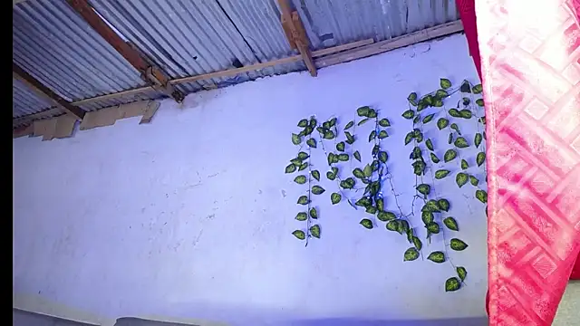 Shanon_hughess's cam snapshot