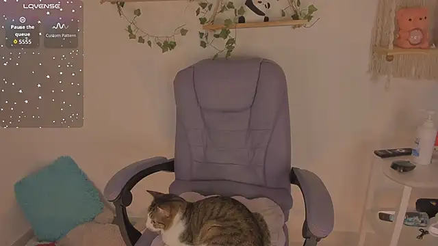 bergmanamii's cam snapshot