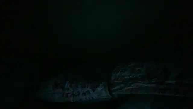 pornstarbrezillian live sex cam