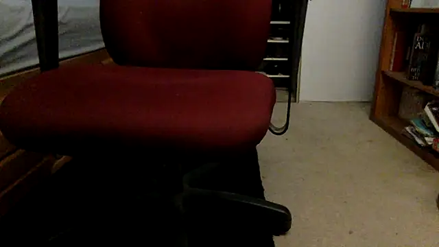 spicylaboi's cam snapshot