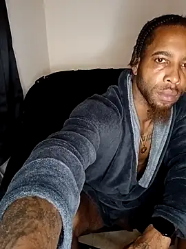 king-Camino's web cam