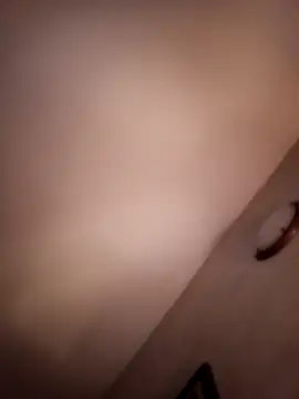 Porco81cazzo live sex cam