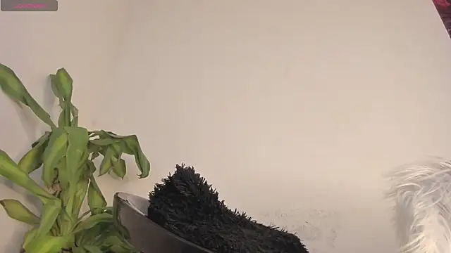 Lucy_shen_ live sex cam