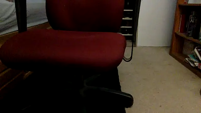 spicylaboi's cam snapshot