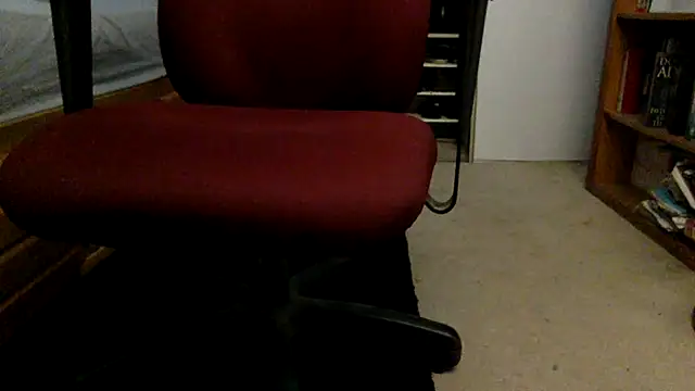 spicylaboi's cam snapshot