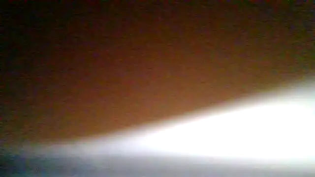 Janssen88 live sex cam