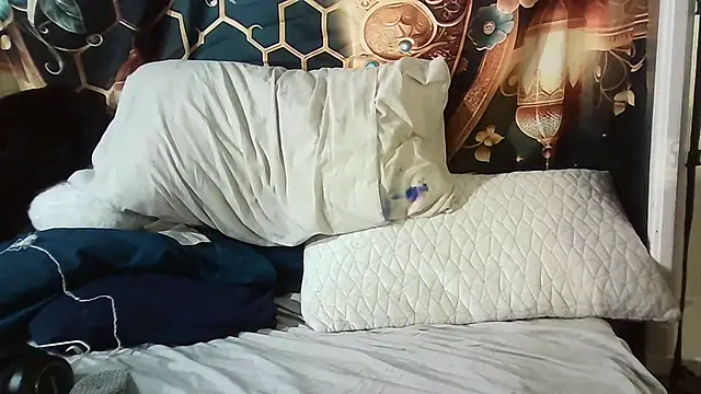 --D-a-D-D-y-'s cam snapshot