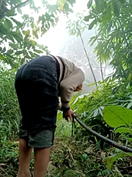 Melylyna's cam snapshot