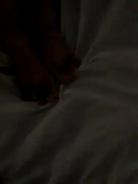 Brandi_Braulio's cam snapshot