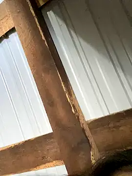 Xoxo237's cam snapshot