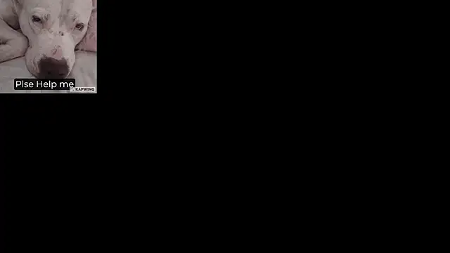 Alaia_Asuka's cam snapshot