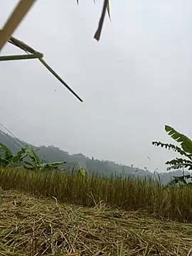 Hot_bitv's cam snapshot